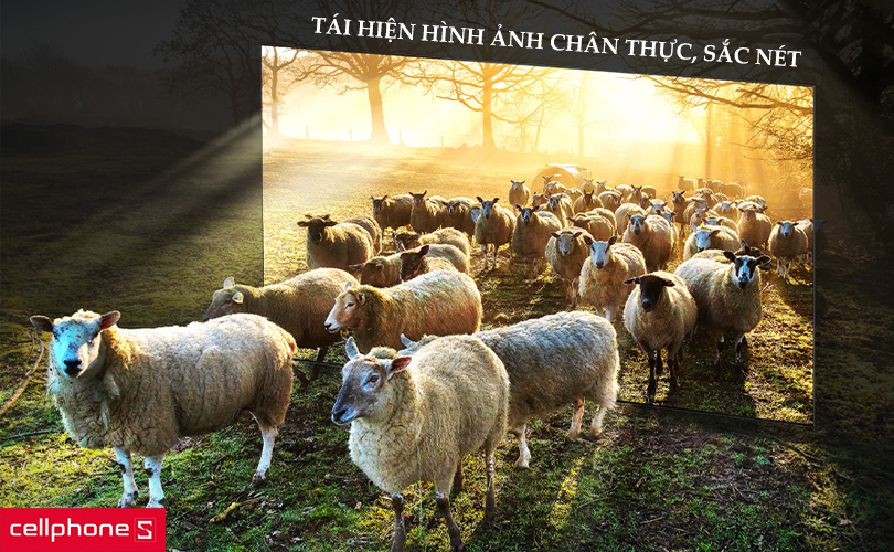 Smart TV Samsung NEO QLED 8K 65 inch 65QN900B