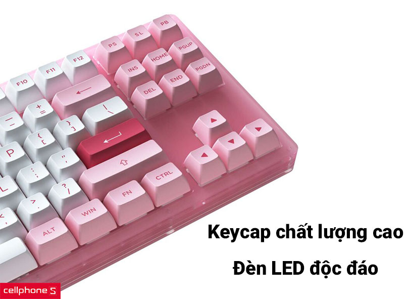 Bàn phím cơ có dây trong suốt AKKO ACR87 TKL Jelly Pink Switch RGB LED
