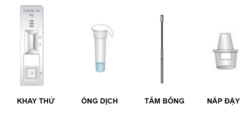 Thành phần bộ kit test Rapigen Biocredit COVID-19 Ag Sars-COV-2