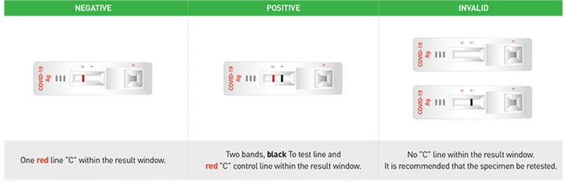 Hướng dẫn test nhanh qua kit test Rapigen Biocredit COVID-19 Ag Sars-COV-2