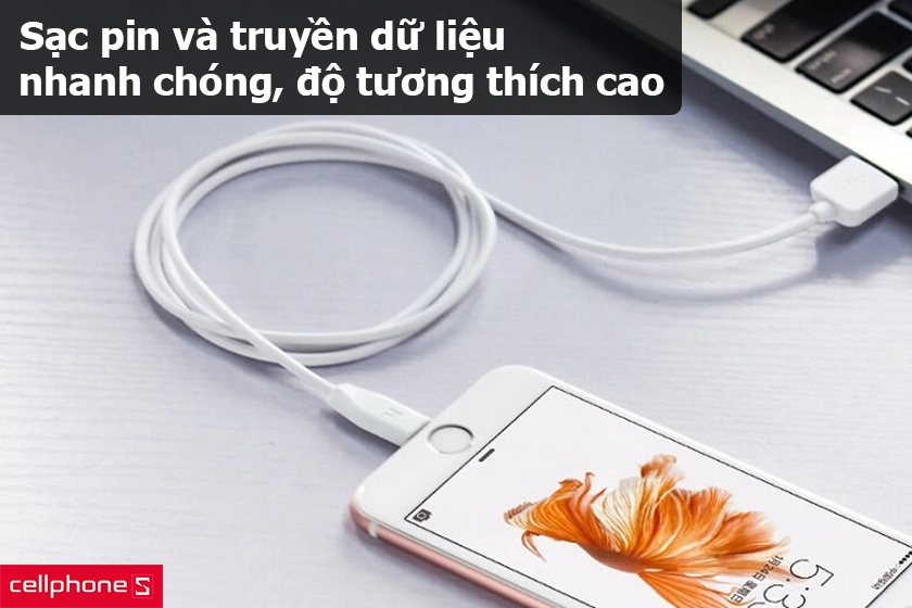 Sạc pin và truyền dữ liệu nhanh chóng, độ tương thích cao