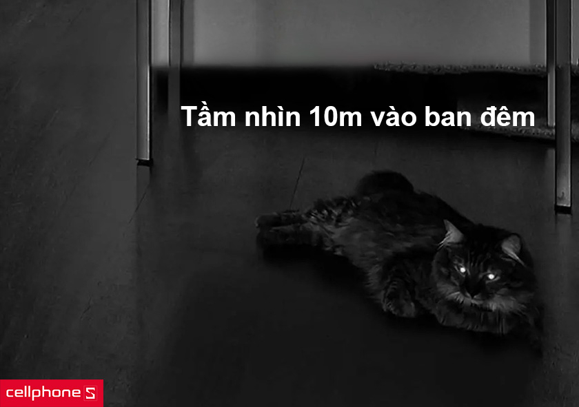 tầm nhìn 10m vào ban đêm