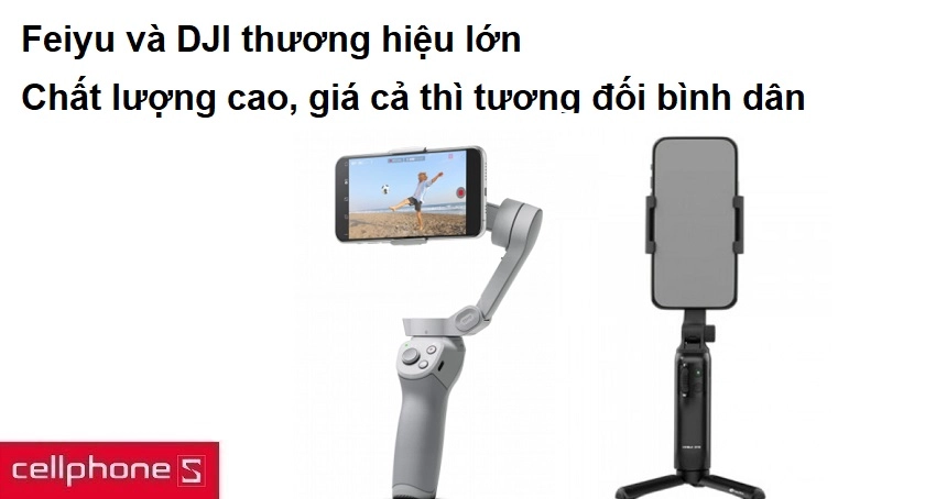 Feiyu và DJI