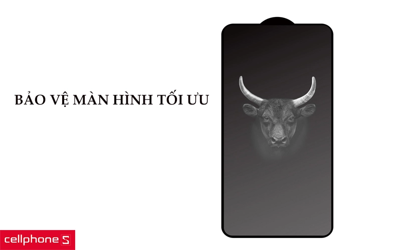 Dán cường lực chống nhìn trộm iPhone 13/13 Pro Mipow Premium Privacy