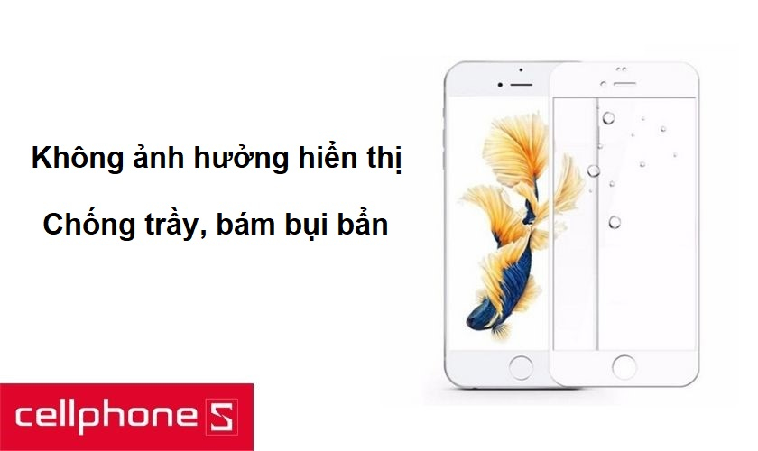 Hạn chế bám bẩn cùng độ bền cao