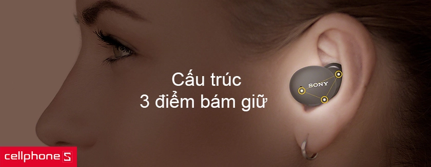 cấu trúc 3 điểm bám giữ
