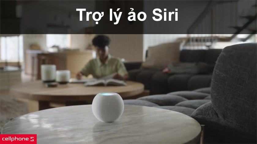 trang bị trợ lý ảo