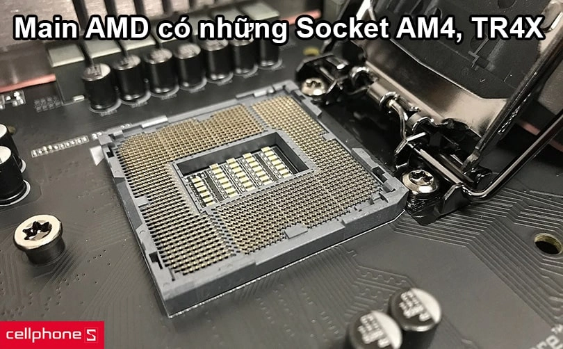 Main AMD có những Socket nào?