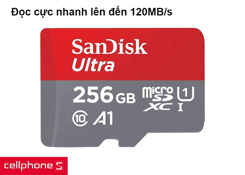 Tốc độ đọc cực nhanh lên đến 120MB/s, dung lượng 256GB