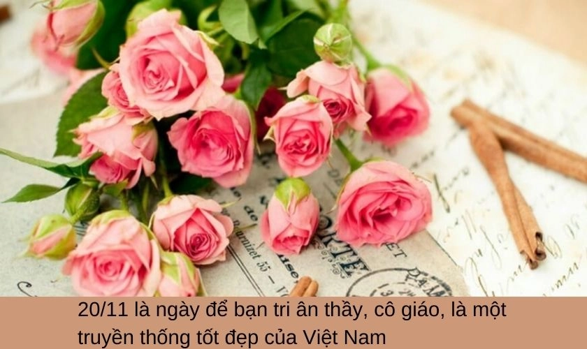Ý nghĩa của ngày 20/11