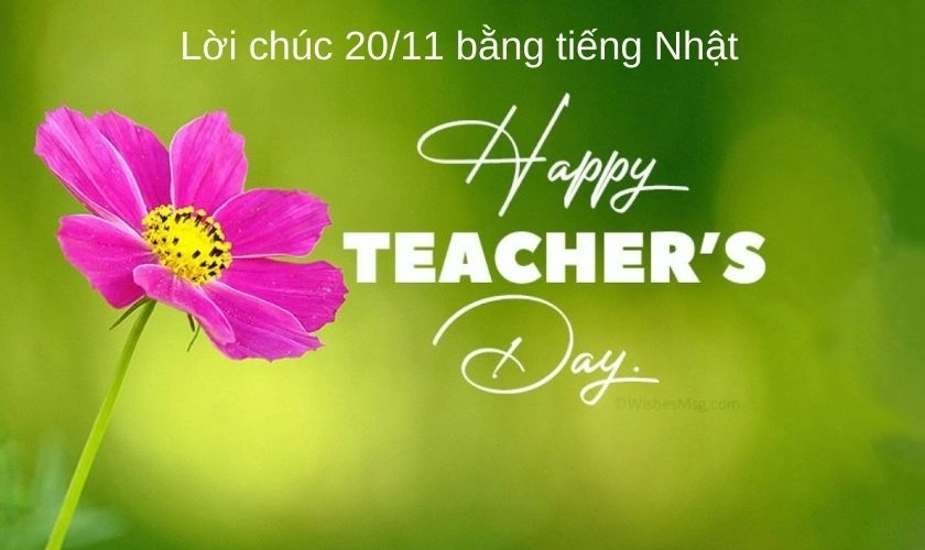 Lời chúc 20/11 bằng tiếng Nhật