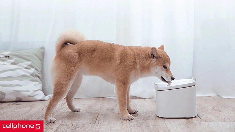 Thiết kế tối giản, trang bị mạch ẩn để dễ dàng vệ sinh