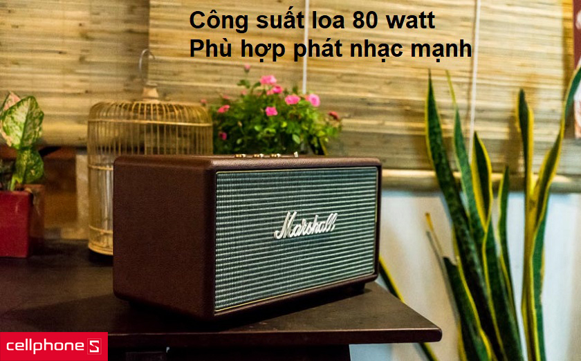 loa công suất lên đến 80 watt