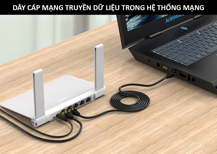 Dây cáp mạng - Ảnh 1