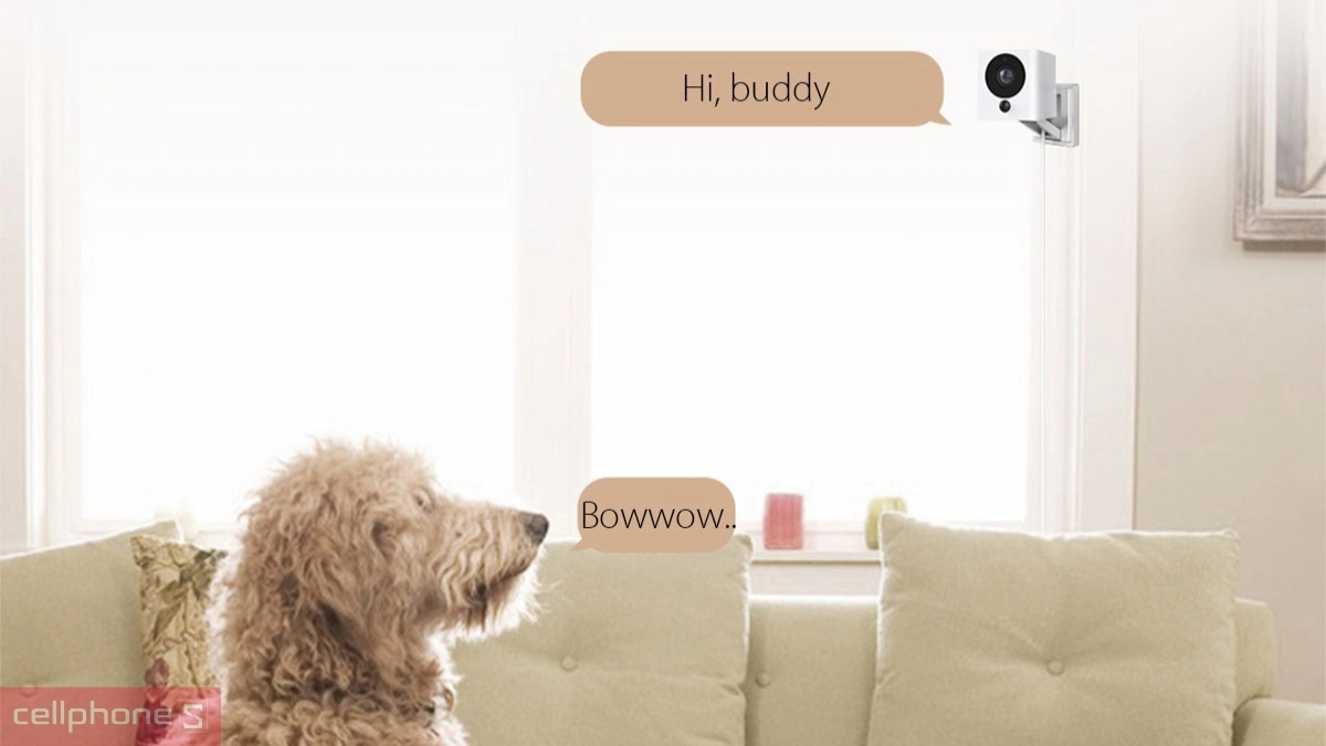 Giao tiếp trực tiếp từ xa mọi lúc 