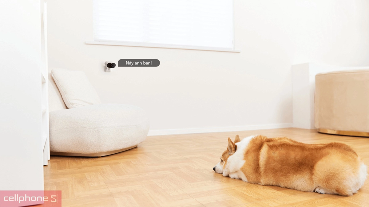 Camera mini giá bao nhiêu