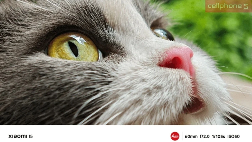 Hình ảnh chụp bởi camera tele của điện thoại Xiaomi 15 5G