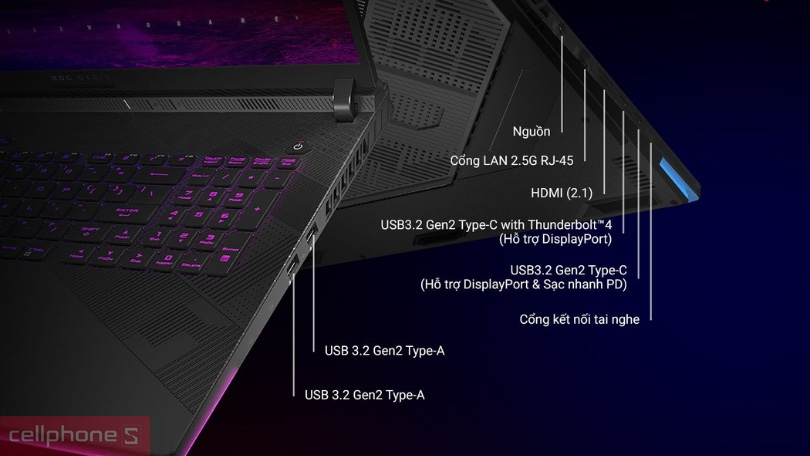 Hoạt động bền bỉ cả ngày dài