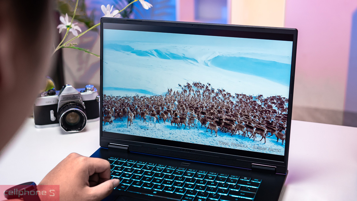 Giá laptop Gigabyte A16 bao nhiêu