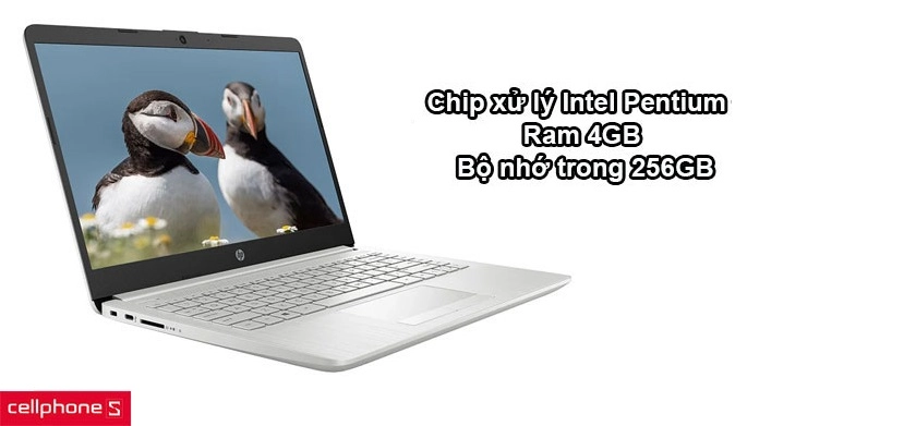 Hiệu năng ổn định với chip xử lý Intel Pentium Gold N6405, RAM 4GB