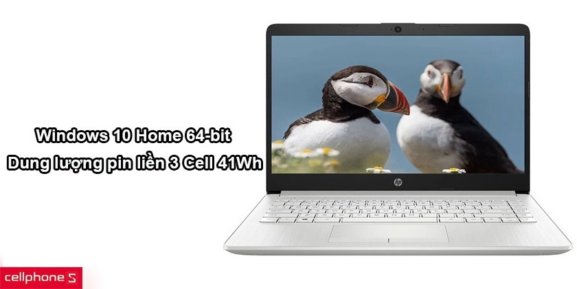 Sử dụng hệ điều hành Windows 10 Home 64-bit và dung lượng pin liền 3 Cell 41Wh