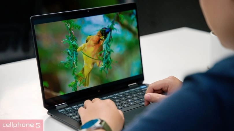 Hình ảnh màu sắc trên HP OmniBook