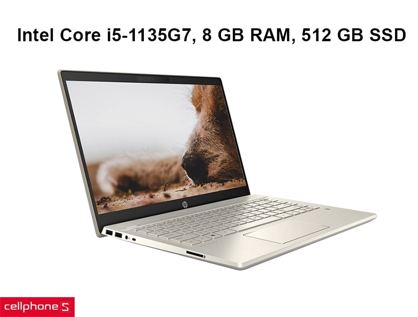 Cấu hình ổn định nhờ vào Intel Core i5-1135G7, 8 GB RAM, 512 GB SSD