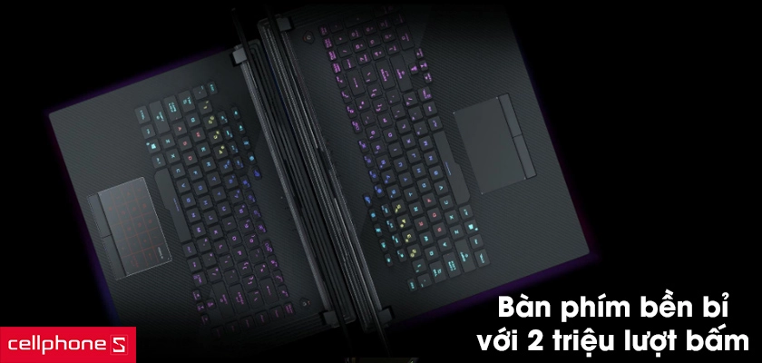 Thiết kế tối ưu hóa với màu sắc sáng tạo