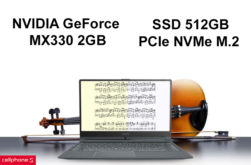 NVIDIA GeForce MX330 2GB GDDR5, 512GB PCIe NVMe M.2 SSD