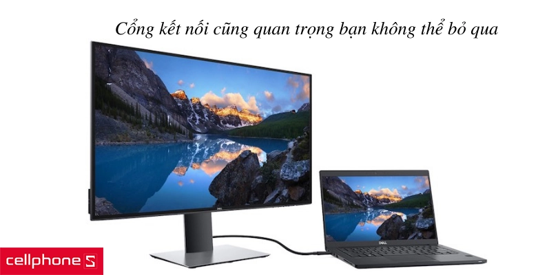 Cách chọn màn hình đồ hoạ chất lượng
