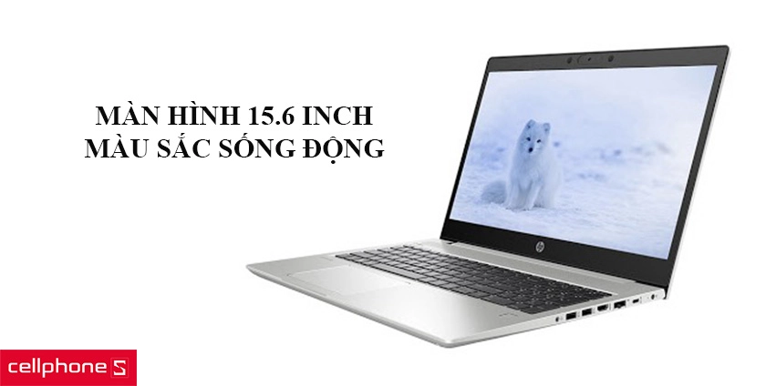 Màn hình 15.6 inch kích thước lớn, màu sắc sống động