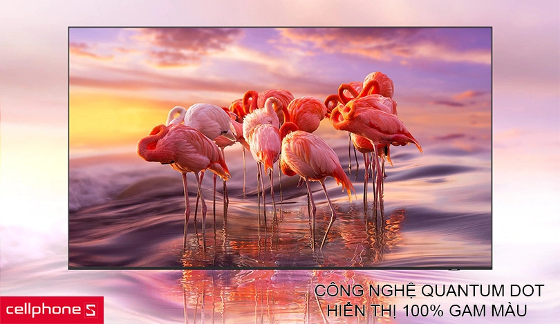 Màu sắc chân thực sống động, công nghệ  hiển thị hình ảnh chính xác