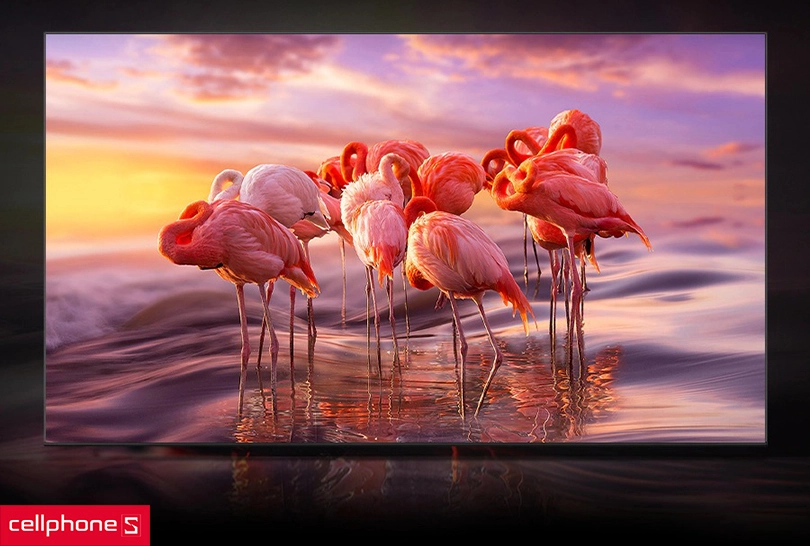 Thiết kế không viền 3 cạnh tinh tế, kích thước 65 inch phù hợp với bố cục