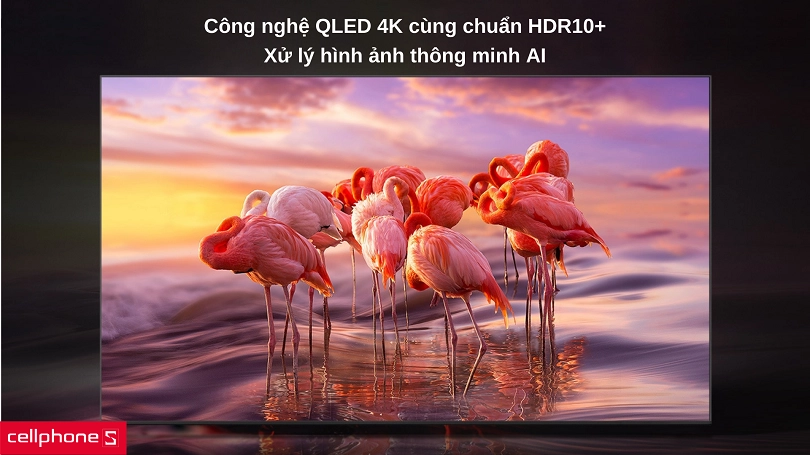 Hình ảnh đẳng cấp với QLED 4K và HDR10+