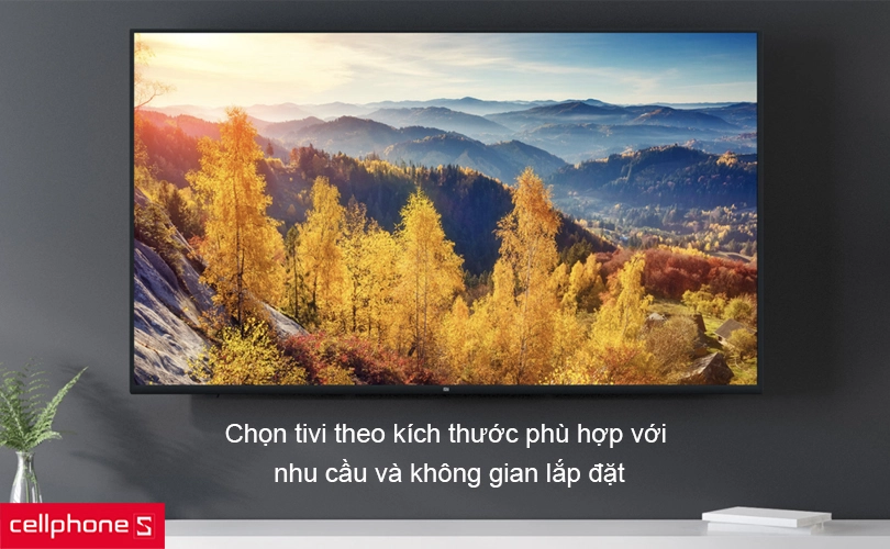 Lựa chọn kích thước