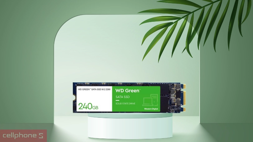 Ổ cứng SSD WD Green 240GB M2 2280 SATA3 WDS240G3G0B