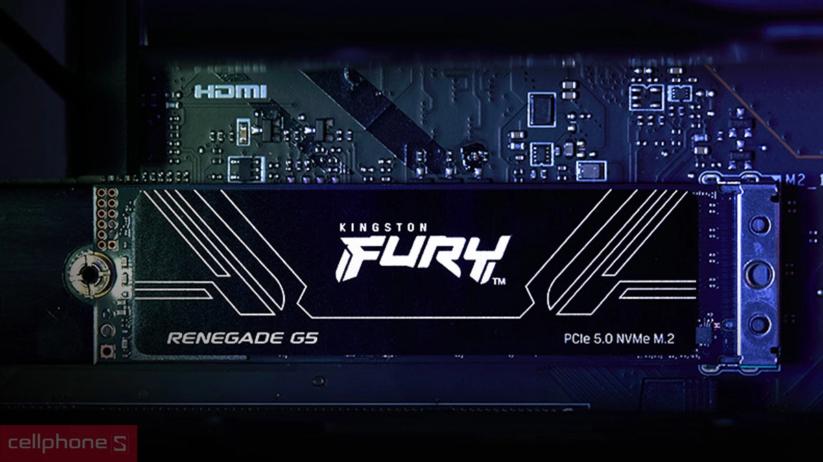 Tốc độ SSD Kingston Fury Renegade G5 PCIe 5.0 NVMe M.2 1TB