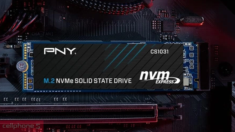 Ổ cứng SSD PNY CS1031 M.2 2280 NVMe PCIe Gen 3x4 500GB - Đọc ghi siêu nhanh, không gian lưu trữ lớn