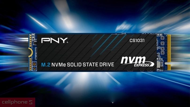 Ổ cứng SSD PNY CS1031 M.2 2280 NVMe PCIe Gen 3x4 500GB - Đọc ghi siêu nhanh, không gian lưu trữ lớn
