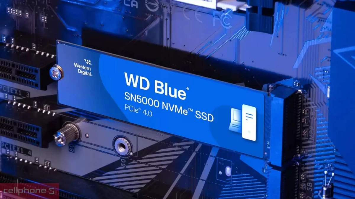 Dung lượng ổ cứng SSD WD Blue SN5000 NVME PCIe Gen4 x4 M.2 2280 1TB