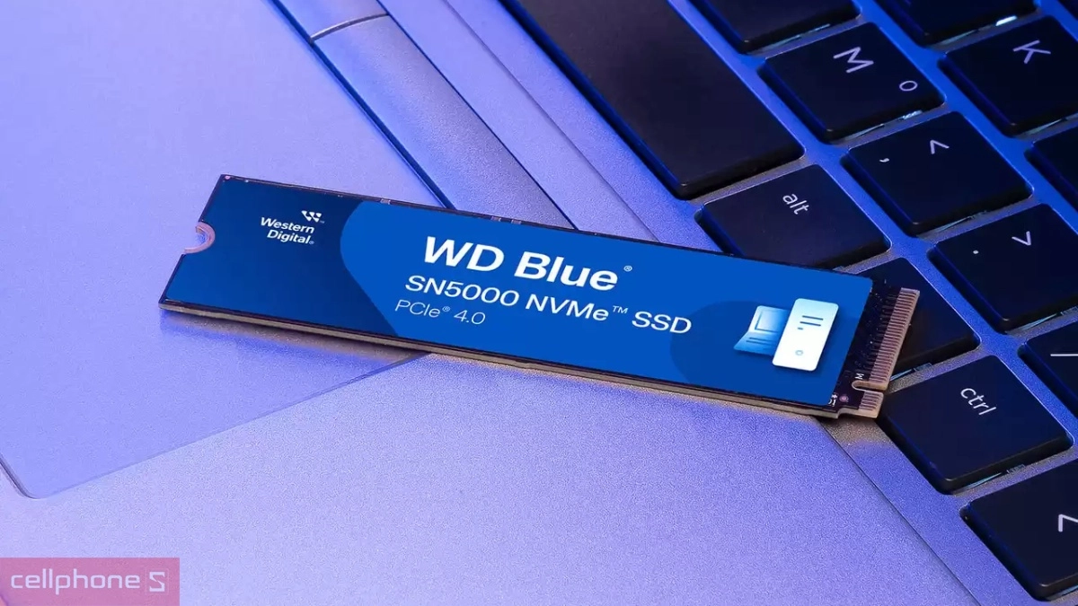 Công nghệ ổ cứng SSD WD Blue SN5000 NVME PCIe Gen4 x4 M.2 2280 1TB