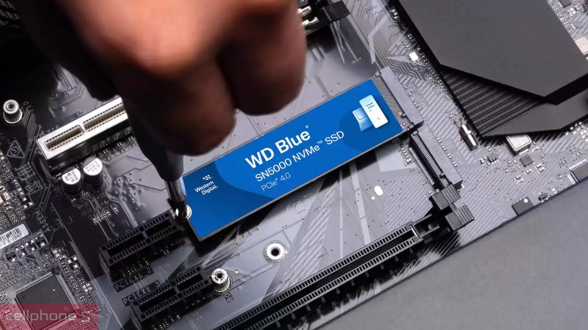 Kết nối ổ cứng SSD WD Blue SN5000 NVME PCIe Gen4 x4 M.2 2280 1TB