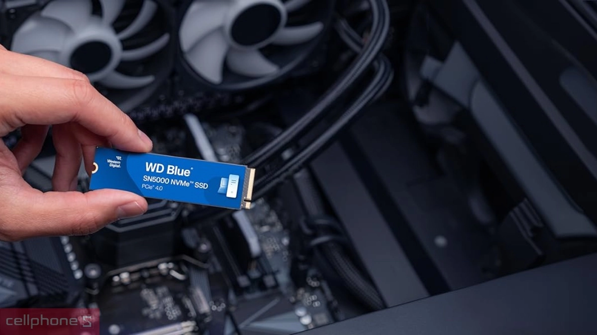 Dung lượng  ổ cứng SSD WD Blue SN5000 NVME PCIe Gen4 x4 M.2 2280 2TB