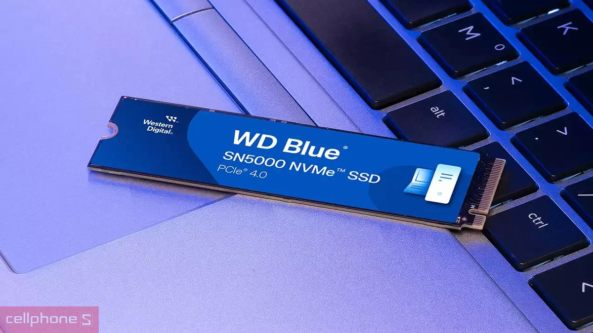 Ổ cứng SSD WD Blue SN5000 NVME PCIe Gen4 x4 M.2 2280 500GB