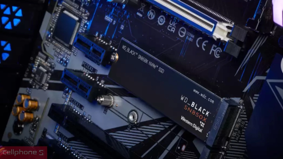 Dung lượng cực đại 8TB, không gian lưu trữ lớn