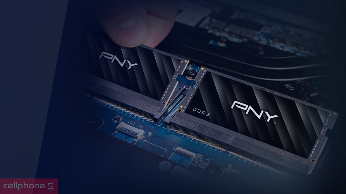 RAM PNY đa dạng sản phẩm