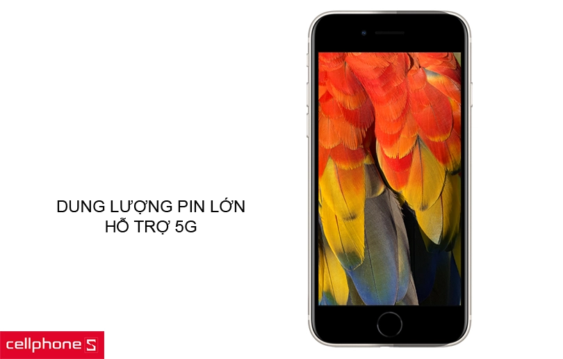 Pin dung lượng lớn, hỗ trợ sạc nhanh công suất 20W, hỗ trợ 5G