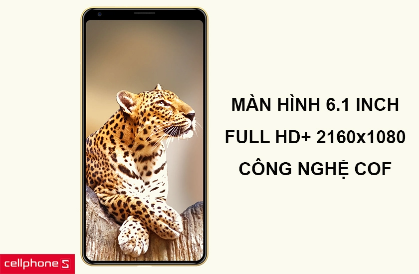 màn hình lên đến 6.1 inch với công nghệ màn hình COF
