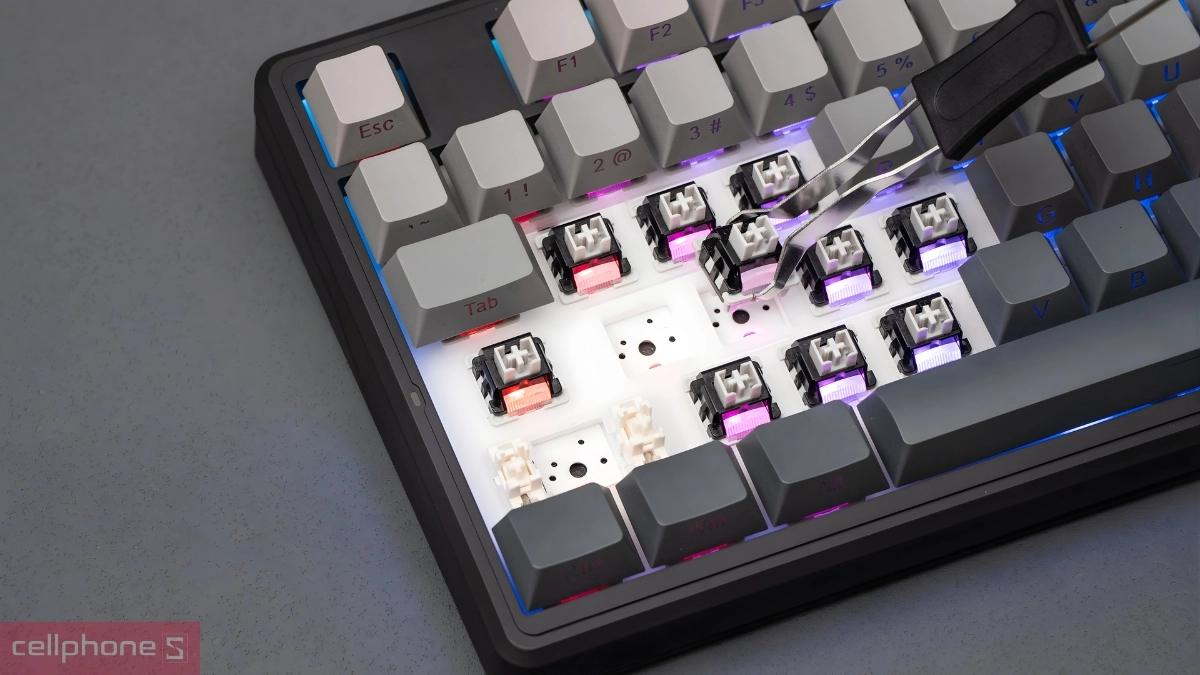 Cấu trúc Gasket và khả năng thay Switch nhanh