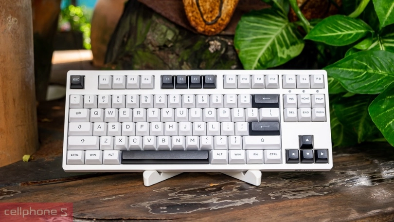 Phân loại theo cấu tạo switch